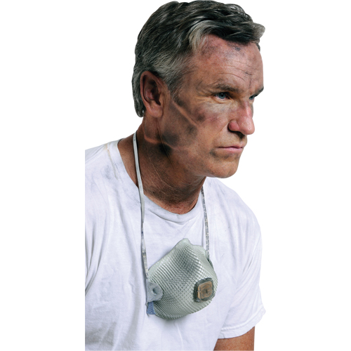 2700 Particulate Respirators, N95, NIOSH Certified, Large/Medium D. Morneault & Fils
