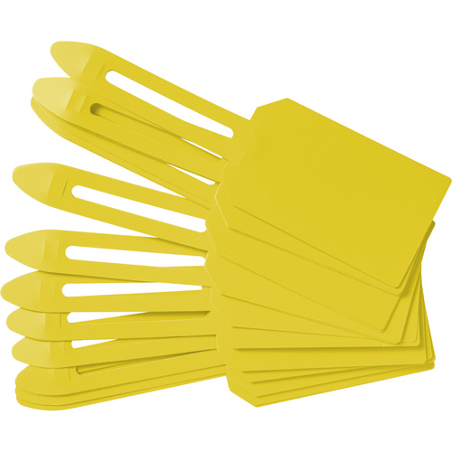 &eacute;tiquettes de cadenassage vierges en plastique, Plastique, 3-1/4" la x 5-4/5" h, Vierge D. Morneault & Fils