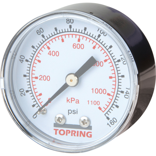 Mini Regulators - Replacement Gauge, 2" , 0 - 160 psi, Back Mount, Analogue D. Morneault & Fils