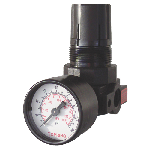Mini Regulators, 1/4" NPT, 165 PSI Max. PSI, Modular D. Morneault & Fils