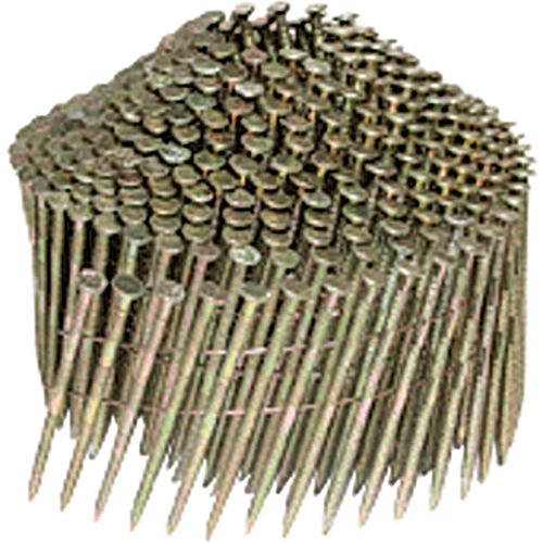 Clous ordinaires D. Morneault & Fils