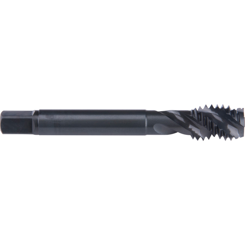 Taraud &agrave; cannelure en spirale 45°, Acier rapide au cobalt, Filet de 3/4"-10, 4-1/4" l D. Morneault & Fils