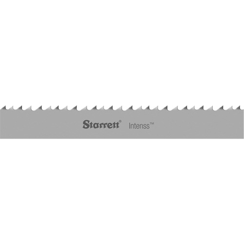 Lame de scie &agrave; ruban Intenss, Bim&eacute;tal, 16' 10" lo x 1-1/4" la x &eacute;paisseur 0,042", 5-8 dents par pouce D. Morneault & Fils