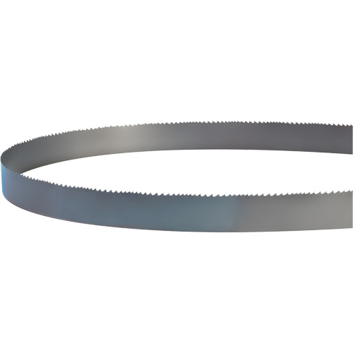 Welded Bandsaw Blade, Bi-Metal, 14' L x 1" W x 4 - 6 TPI D. Morneault & Fils