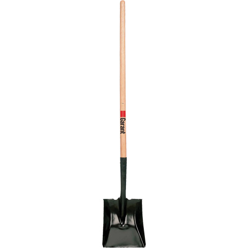 Square Point Shovel, Wood, Tempered Steel Blade, Straight Handle, 42" Long D. Morneault & Fils