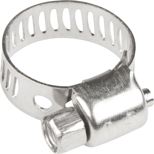 Colliers de serrage pour tuyaux - Collier de serrage & vis en acier inoxydable, Dia. min 1/5", Dia. max 5/8" D. Morneault & Fils
