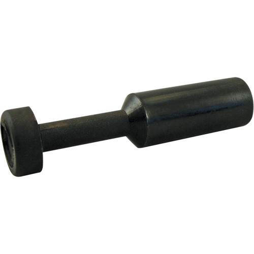 BOUCHON P.T.C. D. Morneault & Fils