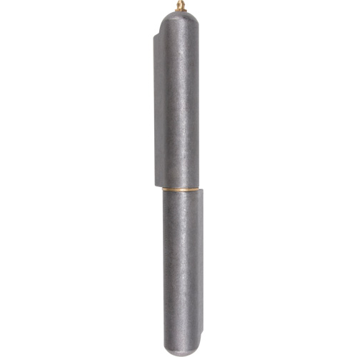 Weld-On Hinge, 1.102" Dia. x 10.236" L, Mild Steel w/Fixed Steel Pin D. Morneault & Fils