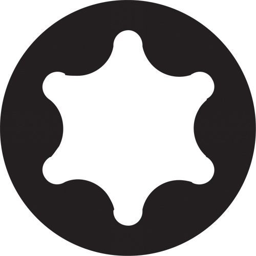 Embout de rechange pour tournevis multi embouts Sixpac Plus, Torx s&eacute;curit&eacute;, 20, Prise 1/4" D. Morneault & Fils