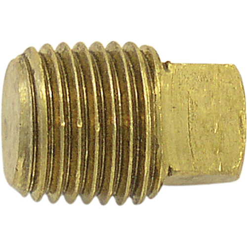 Pipe Plugs (Square Head), 3/4" Dia., Brass D. Morneault & Fils