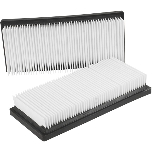 Filtres plats principaux, Cartouche, Pour 12 gal. US D. Morneault & Fils