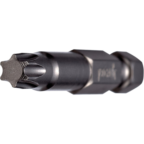 Embout pour outil &eacute;lectrique, Torx, Embout T-20, Prise 1/4", Longueur 2" D. Morneault & Fils