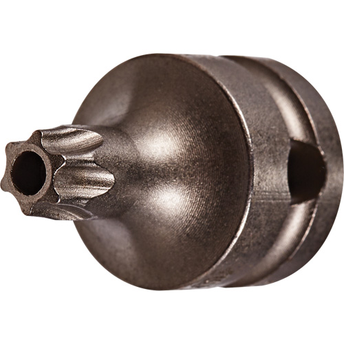 Socket Bit, Torx&reg; Tamper, 25 x 1" L, 3/8" Drive D. Morneault & Fils