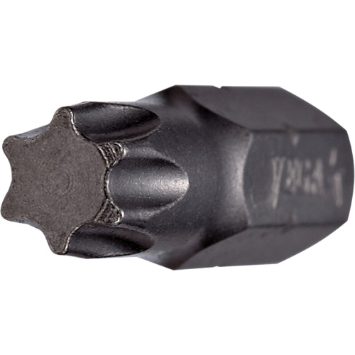 Tamper Insert Bit D. Morneault & Fils