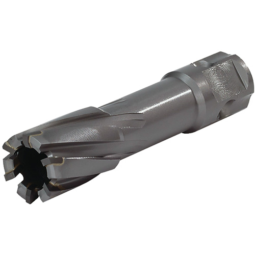 Couteau annulaire &agrave; tige universelle, Diam&egrave;tre de 24 mm, Carbure, Profondeur de la coupe de 55 mm, Tige 3/4" D. Morneault & Fils