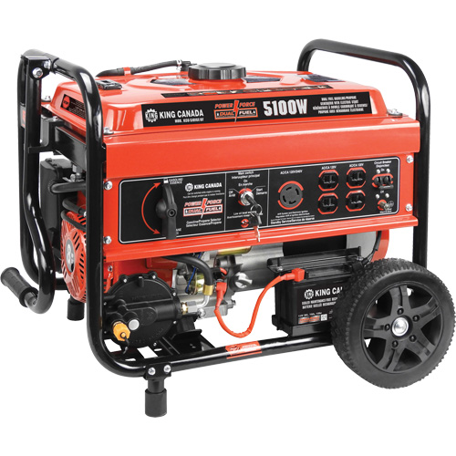 Gasoline/Propane Generator with Electric Start D. Morneault & Fils