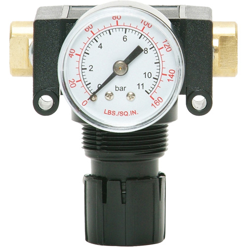 D&eacute;tendeur &agrave; piston en ac&eacute;tal MODULAIR 200, 1/4" NPT, PSI max. de 150 psi, Canalisation/Modulaire D. Morneault & Fils