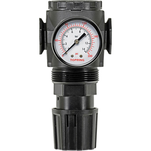 MODULAIR 300 Zinc Diaphragm Regulator, 3/8" NPT, 300 psi Max. PSI, In Line/Modular D. Morneault & Fils