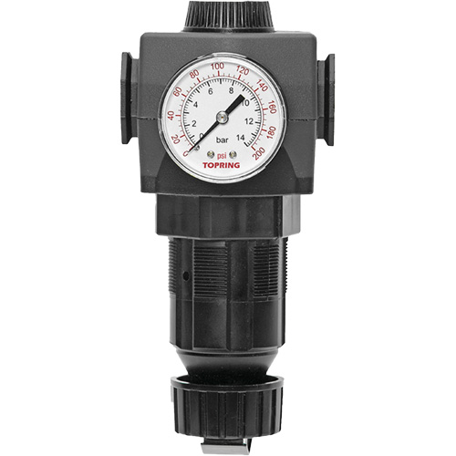 MODULAIR 400 Zinc Diaphragm Regulator, 1/2" NPT, 300 psi Max. PSI, In Line/Modular D. Morneault & Fils