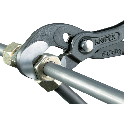 Raptor Pliers, 10" D. Morneault & Fils