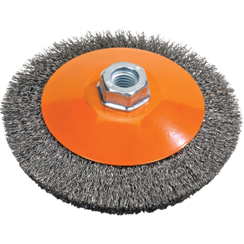 Saucer Cup Brush With Knot-Twisted Wires, 5" Dia., 0.02" Fill, 5/8"-11 Arbor, Steel D. Morneault & Fils