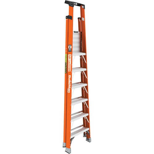Escabeau avec plateforme Safespace, 6', Cap. De 300 lb D. Morneault & Fils