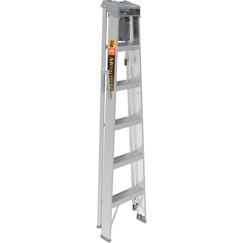 Step Ladder with Paint Tray, 6', Aluminum, 225 lbs. Capacity, Type 2 D. Morneault & Fils