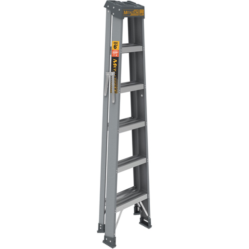 Step Ladder, 6', Fibreglass, 225 lbs. Capacity, Type 2 D. Morneault & Fils