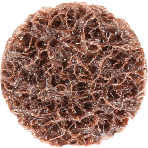 Disque de conditionnement de surface &agrave; remplacement rapide Standard Abrasives, 3/4" dia., Grain Cors&eacute;, Oxyde d'aluminium D. Morneault & Fils