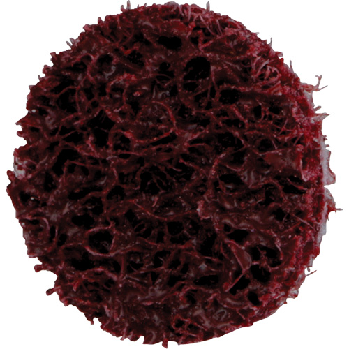 Disque de conditionnement de surface &agrave; remplacement rapide Standard Abrasives, 3/4" dia., Grain Moyen, Oxyde d'aluminium D. Morneault & Fils