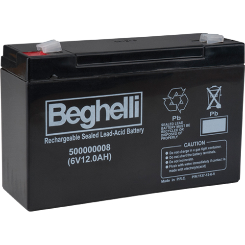 Sealed Lead Acid Batteries, 6 V, 12 Ah D. Morneault & Fils