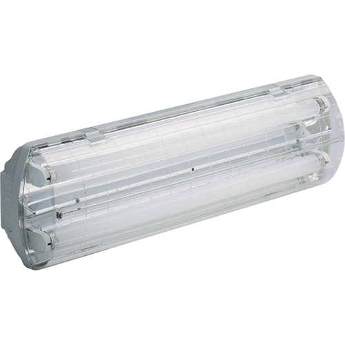 Illumina&reg; BS100 Series Vapor-Tight Light, Polycarbonate, 120 V D. Morneault & Fils