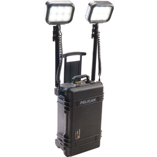 Syst&egrave;mes d'&eacute;clairage pour zones recul&eacute;es 9460, DEL, 12 000 lumens, Boîtier en Plastique D. Morneault & Fils
