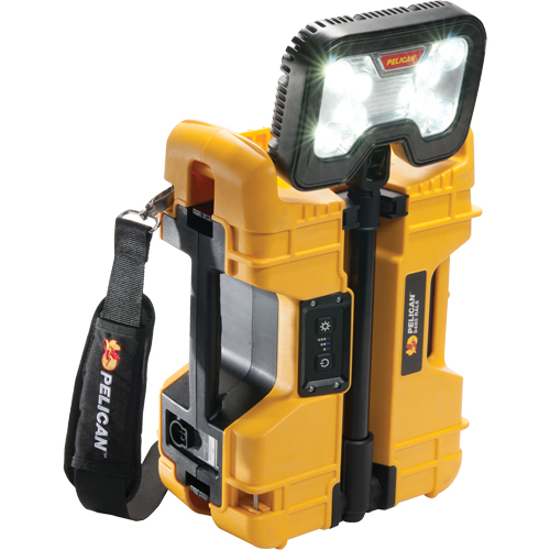 Syst&egrave;mes d'&eacute;clairage &agrave; distance 9480, DEL, 41,1 W, 4000 lumens, Boîtier en Plastique D. Morneault & Fils