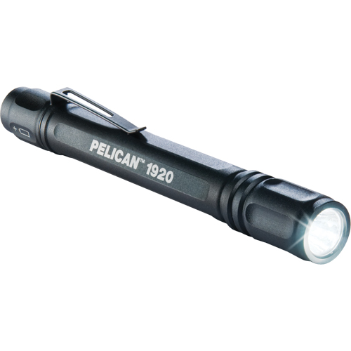 1920 ProGear Flashlights, LED, 120 Lumens, AAA Batteries D. Morneault & Fils