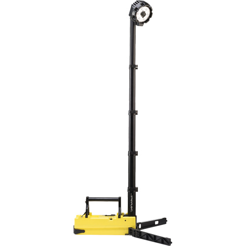 Lampes de sc&egrave;ne portables et rechargeables, DEL, 36 W, 5300 lumens, Boîtier en Plastique D. Morneault & Fils