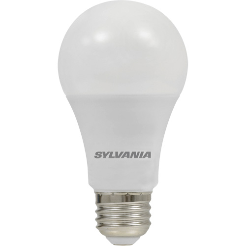 Ampoule DEL, A19, 8,5 W, 800 lumens, base Moyen D. Morneault & Fils