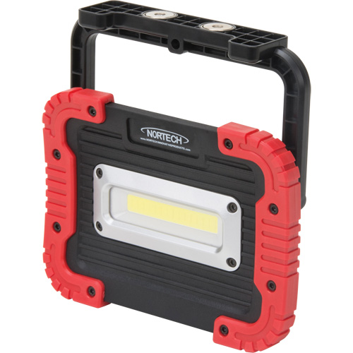 Portable Work Light, LED, 10 W, 1000 Lumens, Plastic Housing D. Morneault & Fils
