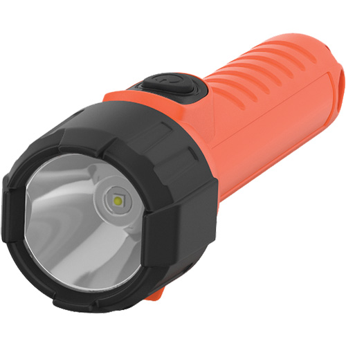 Lampe de poche portative Intrinsically Safe, DEL, 150 lumens, Piles D D. Morneault & Fils