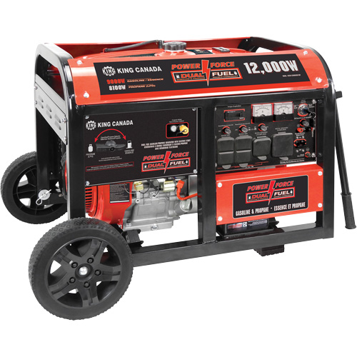 Gasoline/Propane Generator with Electric Start D. Morneault & Fils