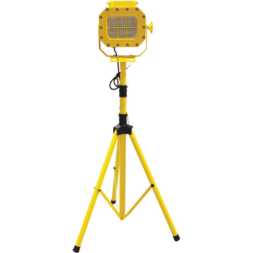 Diffuseur anti-d&eacute;flagration avec tr&eacute;pied, DEL, 40 W, 5600 lumens, Boîtier en Aluminium D. Morneault & Fils