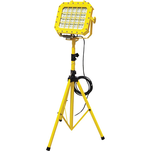 Diffuseur anti-d&eacute;flagration avec tr&eacute;pied, DEL, 40 W, 5600 lumens, Boîtier en Aluminium D. Morneault & Fils
