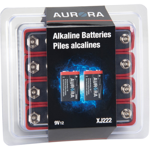 Industrial Alkaline Batteries, 9 V D. Morneault & Fils