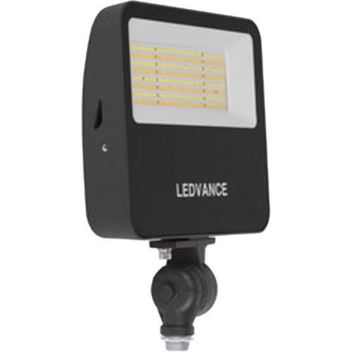 Flood Light D. Morneault & Fils