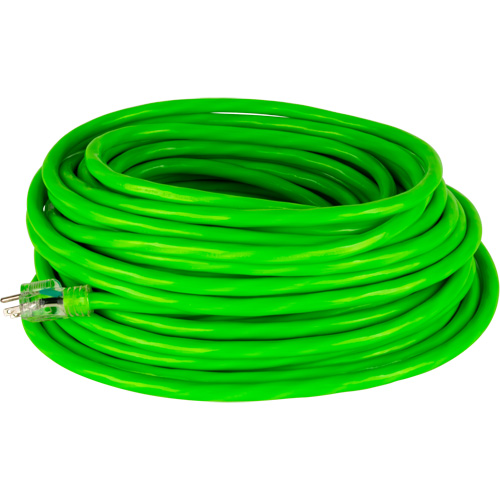 Industrial Extension Cord, All-Weather, SJTW, 10/3 AWG, 15 A, 50' D. Morneault & Fils
