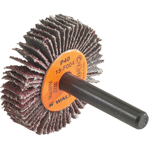 Disque &agrave; lamelles Coolcut, Oxyde d'aluminium, Grain 60, 1-1/2" x 3/8" x 1/4" D. Morneault & Fils