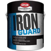 Industrial Iron Guard&reg; Water-Based Enamel, 3.78 L, Gallon, Red D. Morneault & Fils