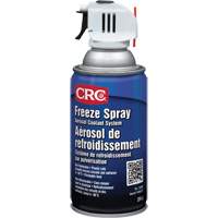 Produit r&eacute;frig&eacute;rant &agrave; vaporiser, 284 g D. Morneault & Fils