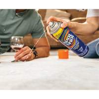 Spot Shot&reg; Professional Instant Carpet Stain Remover, 496 g, Aerosol Can D. Morneault & Fils