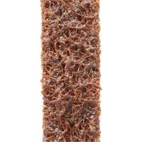 Courroies de traitement des surfaces Scotch-Brite D. Morneault & Fils